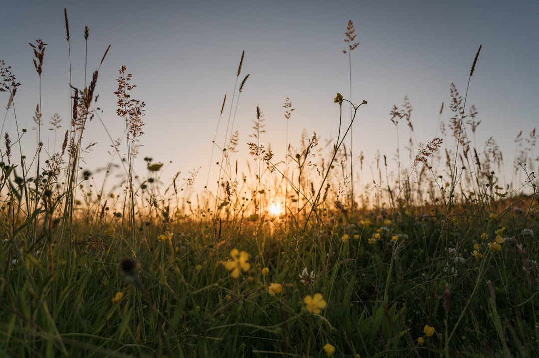 Exploring Spiritual Agreements: A Review of Caroline Myss’s Sacred Contracts