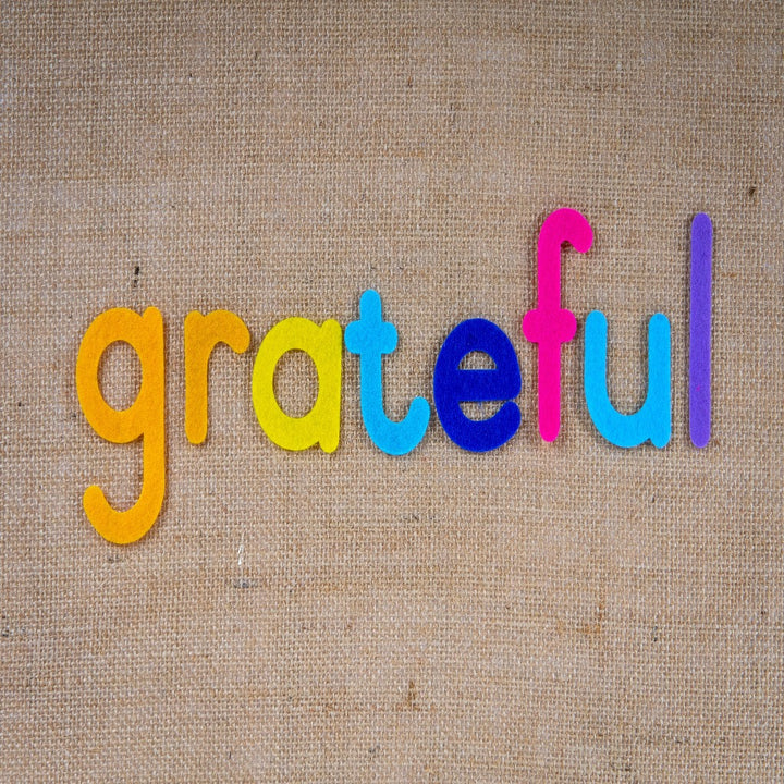 Gratitude Family: 6 Books & Stickers Bundle